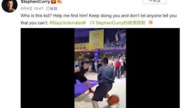 哈佛教授爆料视频播放下载,视频播放下载背后的惊人真相