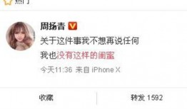 最新咨询爆料,行业变革背后的惊人内幕